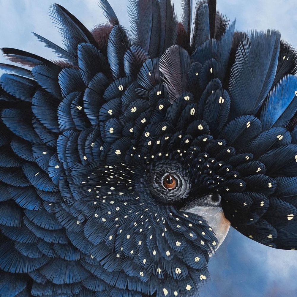 Meet your Posher, Cynthia